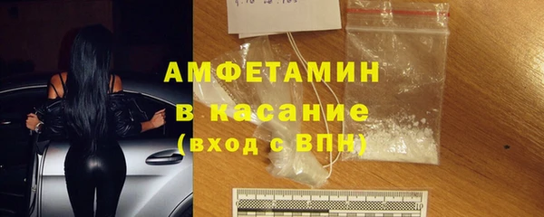 амф Гусь-Хрустальный