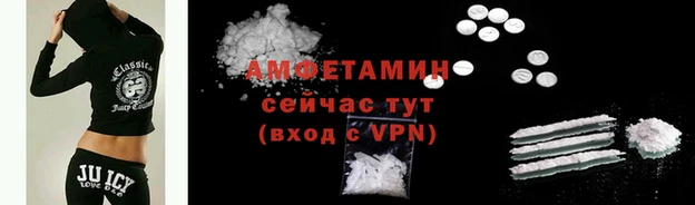 амф Гусь-Хрустальный