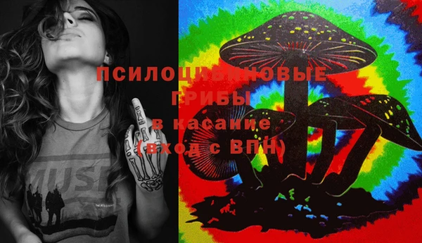 амф Гусь-Хрустальный