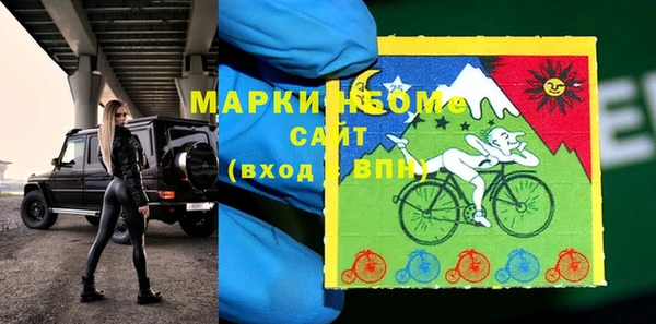 амф Гусь-Хрустальный