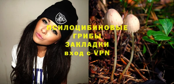 амф Гусь-Хрустальный