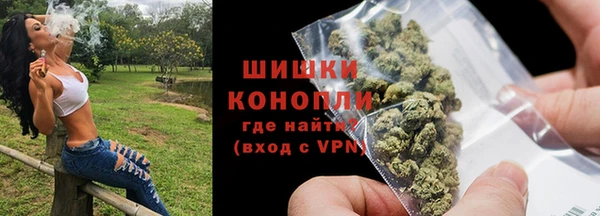 амф Гусь-Хрустальный