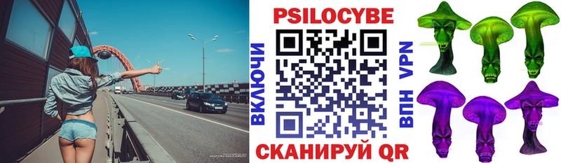 Псилоцибиновые грибы прущие грибы  Купить закладки  Новодвинск 