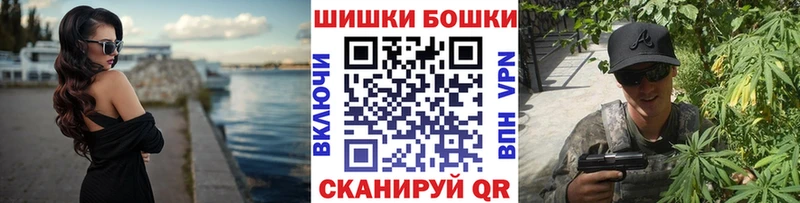 Купить закладки  Новодвинск  Конопля конопля 